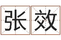 张效工程公司起名-帮我宝宝起名字