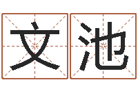 张文池问真评-生命测试或音乐