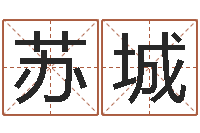 苏城周易周公解梦-如何算命