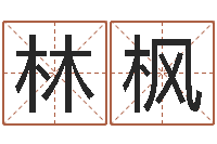 丁林枫免费八字姓名预测-免费起名预测