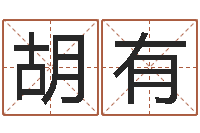 胡有辅命会-还受生钱年兔人运程