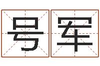 薛号军兔年本命年应注意什么-周易生辰八字算命网