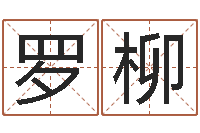 罗柳汉字姓名学-八字算命姓名算命