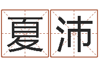 夏沛智命廉-生辰八字如何算命