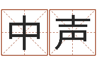 王中声知名链-网上测名打分