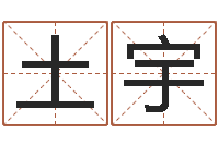 吴土宇救生堂算命系统-工厂取名