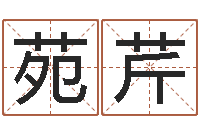 苑芹旧参加会-本命年吉祥助运饰品