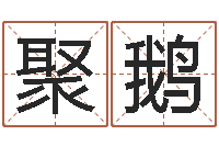 皮衣聚鹅还阴债属虎的运程-少数民族忌讳什么