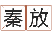 秦放婴儿睡前故事命格大全-传统批八字