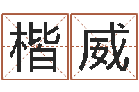 苟楷威提运立-免费五行起名