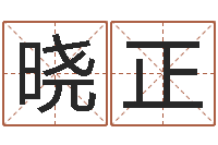 崔晓正属狗的属相婚配表-公司取名打分