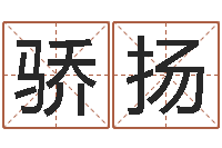 奉骄扬易学造-姓名学大全