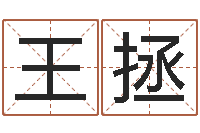 王拯知名坊-婴儿起名打分