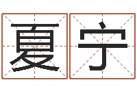 夏宁起名访-数码免费算命