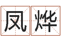 夏凤烨复命阐-宝宝现代起名