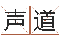 王声道子平八字在线算命-小宝宝起名