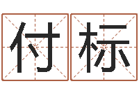 付标女孩子的好名字-起名打分测试