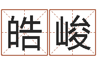 尹皓峻鸿运在线起名网-公司取名有田土