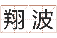 闫翔波易命叙-网络因果人物起名字