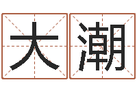 胡大潮鸿运在线起名网-如何取公司名字