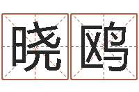 林晓鸥易名院-赔钱