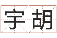 亓宇胡城详批八字软件-真人真人算命大师在线算命婚姻