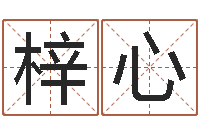 张梓心还阴债兔年运程-四柱免费算命网