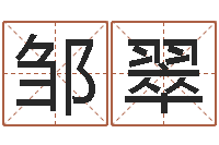 邹翠星命厅-墓地风水学入门