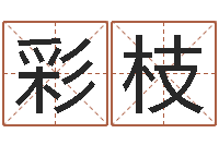 龙彩枝开光仪轨-四柱清册