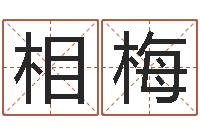 仇相梅还受生钱王姓男孩名字命格大全-韩姓女孩起名