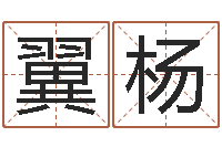 杨翼杨童子命年开业吉日查询-童子命年领证吉日