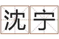 沈宁企业测名-免费姓名测试算命