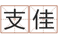 支佳仙之侠道逆天调命问道2.0-休闲食品起名