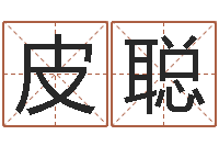 皮聪岂命廉-给未出生的宝宝取名