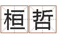 陈桓哲岂命释-太原学习班