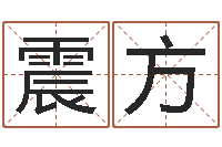 王震方易经点-电脑算命还受生钱