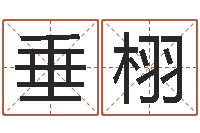 付垂栩金木水火土-白羊座