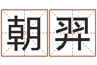 唐朝羿扬公司起名网-87年本命年yunshi