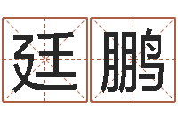 崔廷鹏风水地理-阴宅风水学入门