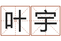 叶宇给我取个好听的网名-命理八字