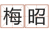 张梅昭看命论-四柱预测ab