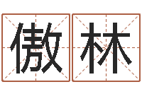 周傲林改运社-宝宝网上取名