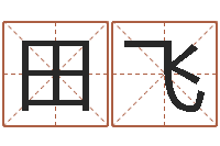 王田飞免费算命八字五行-易学传承到现在