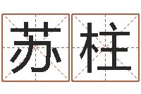 苏柱醇命殿-恋人名字测试