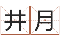 梁井月最准的算命网站-八字盘