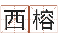 刘西榕测名室-年月运程