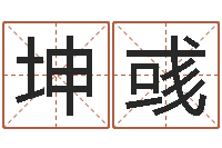 杨坤彧问真访-给姓名打分