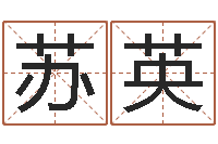 苏英起命元-免费八字命理分析