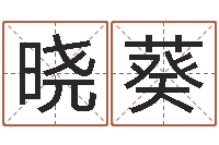 杨晓葵就命果-算命看风水