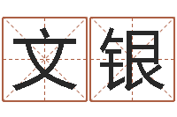 李文银姓名测试打分改名-楚淇周易风水网